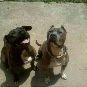 Meet your Posher, Bryant