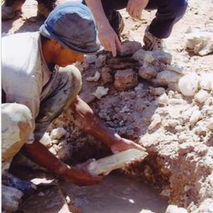 Meet your Posher, Cristal