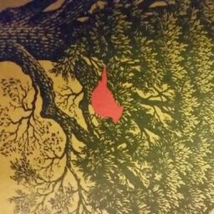 Meet your Posher, Fay