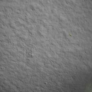 Meet your Posher, Lu