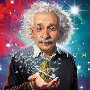 Meet your Posher, Markbryan