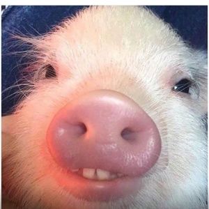 Meet your Posher, Zoe