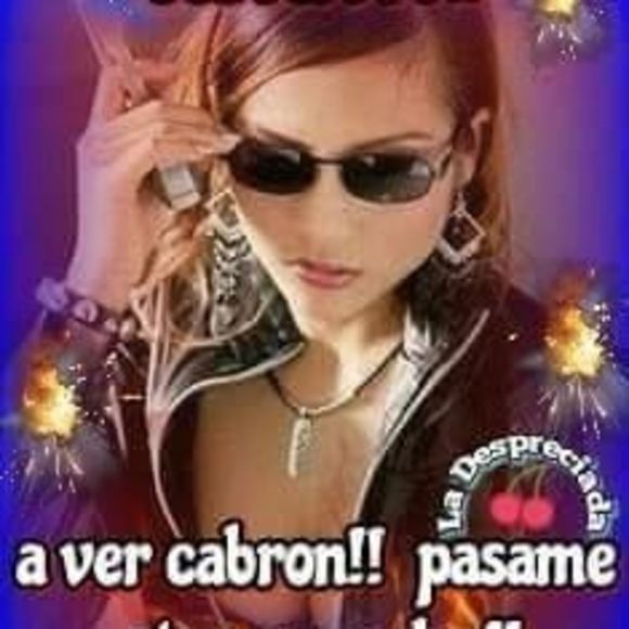 Meet your Posher, Paloma - Picture 1 of 1