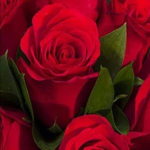 Meet your Posher, Nataly