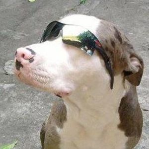 Meet your Posher, Andres