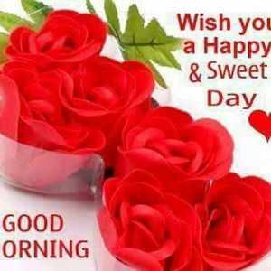 Meet your Posher, Juliane