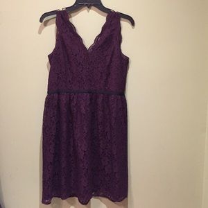 Loft Scalloped sleeveless lace dress