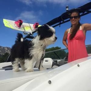 Meet your Posher, Robin