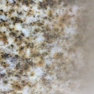 Meet your Posher, Sonia