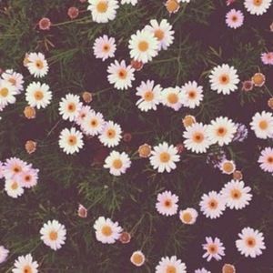 Meet your Posher, Marla