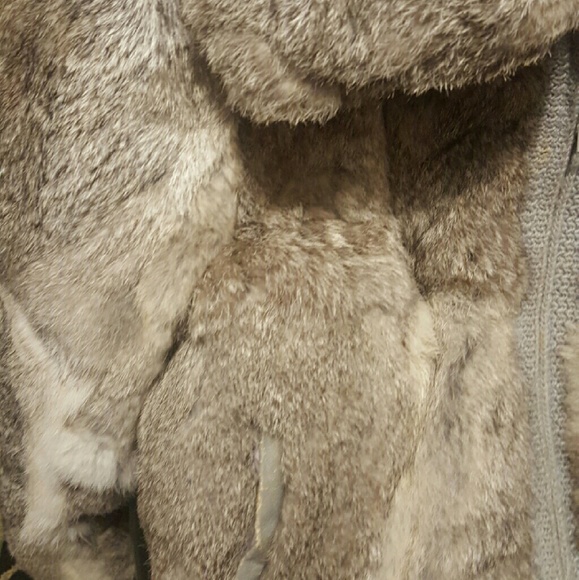 Coat - Picture 3 of 3