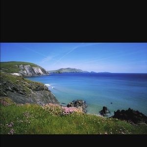 Meet your Posher, Lindsay