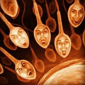 Meet your Posher, Guido