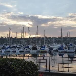 Meet your Posher, Diana