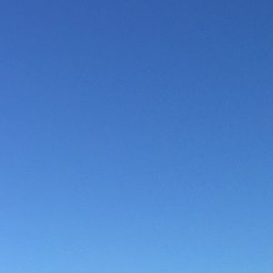 Meet your Posher, Martha