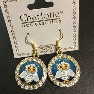Owl Earrings New