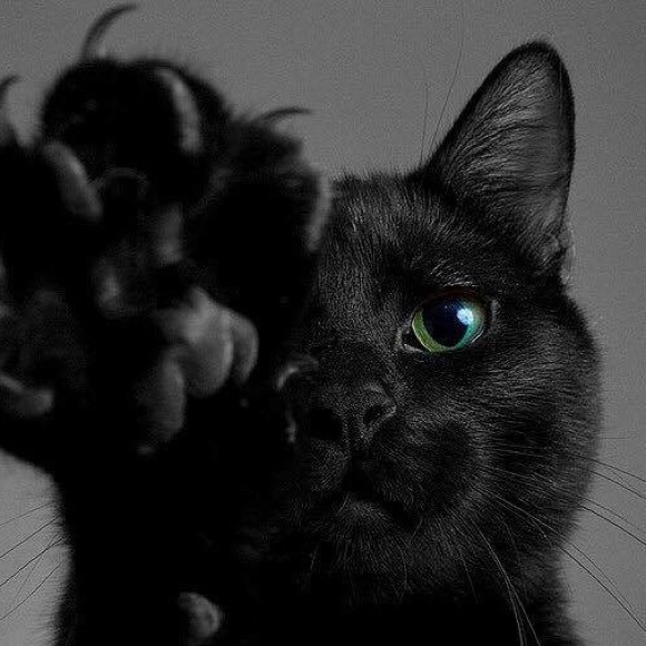 Windygirly, PLEASE STAND UP. - Picture 4 of 8