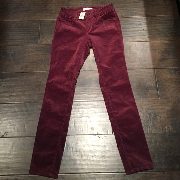 LOFT maroon cords