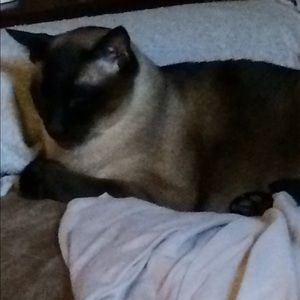 Meet your Posher, Brenda