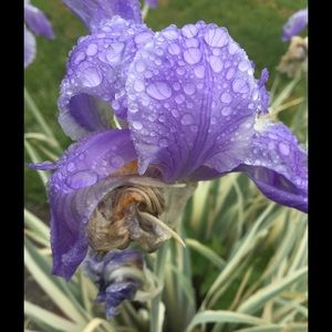 Meet your Posher, Ellie