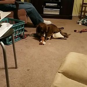 Meet your Posher, Freda