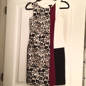 Gorgeous Ann Taylor Dress