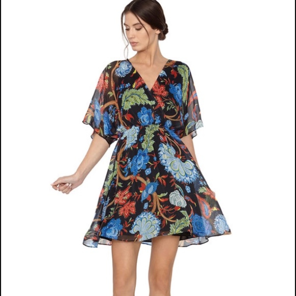 Alice & Olivia dress in size 2