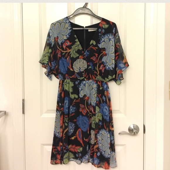 Alice & Olivia dress in size 2 - Picture 2 of 4