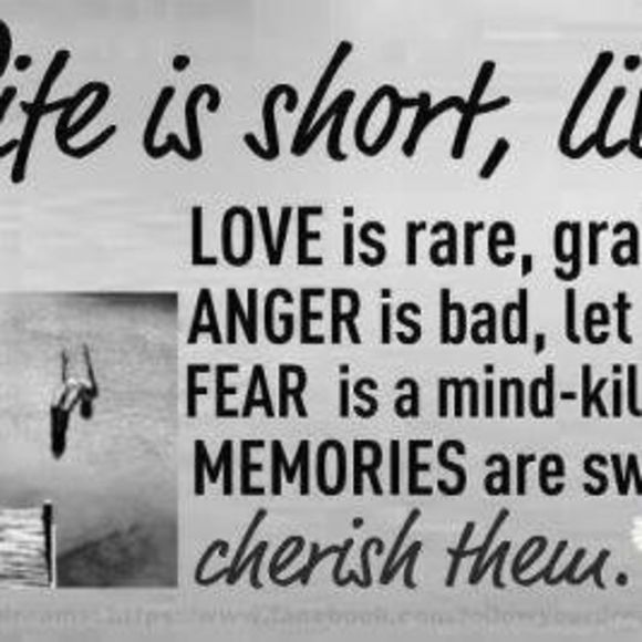 Meet your Posher, Ramona - Picture 1 of 1