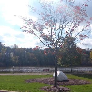 Meet your Posher, Heba