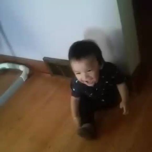 Meet your Posher, Sanchez - Picture 1 of 1