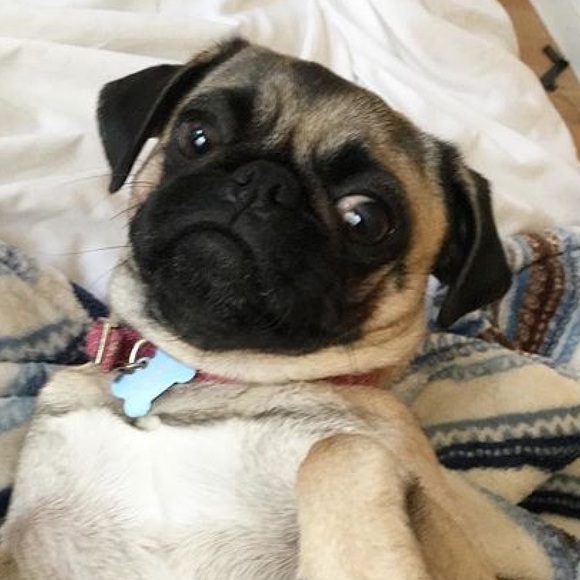 Meet your Posher, Aileen - Picture 1 of 4