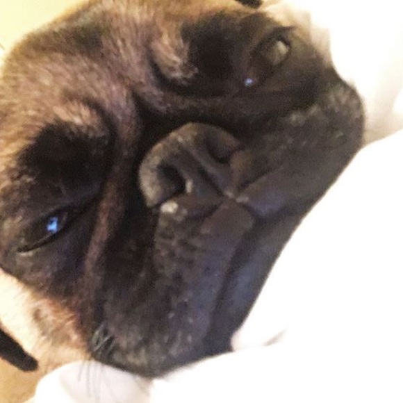 Meet your Posher, Aileen - Picture 2 of 4