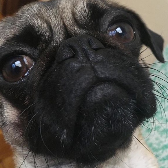 Meet your Posher, Aileen - Picture 3 of 4