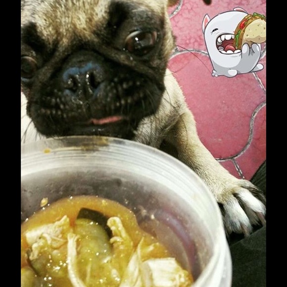 Meet your Posher, Aileen - Picture 4 of 4