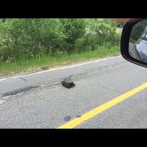 Meet your Posher, Hiromi