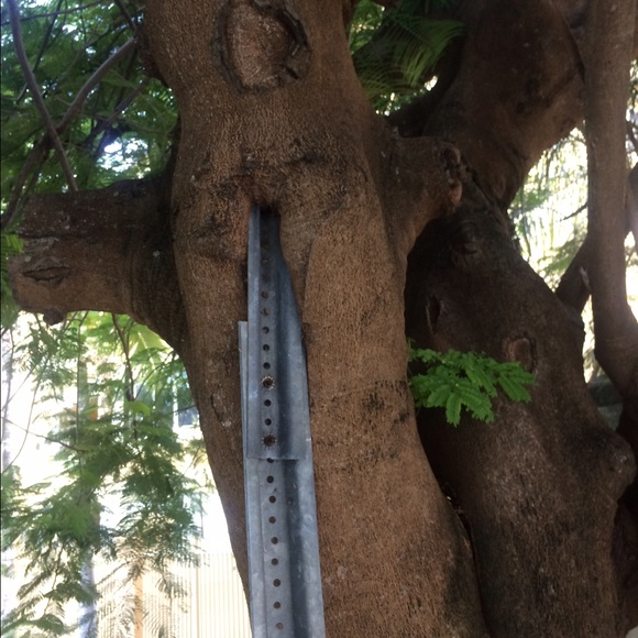 Meet your Posher, Juan - Picture 1 of 1