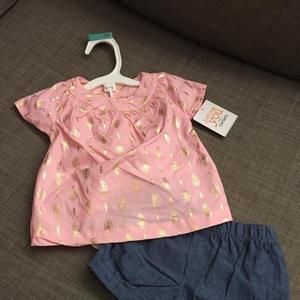 Brand new Carters outfit