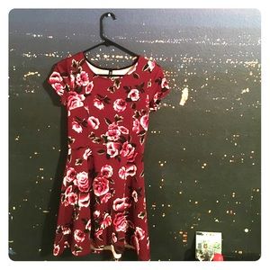 H&M Divided Red Rose Skater Dress