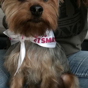 Meet your Posher, Kathy