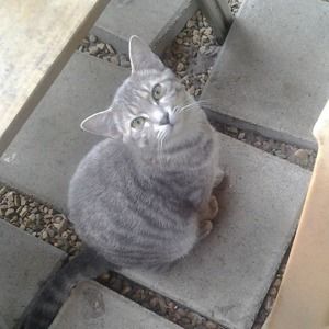 Meet your Posher, Vicki