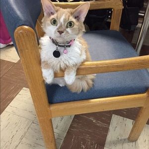 Meet your Posher, Theresa