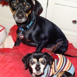 Meet your Posher, Ami