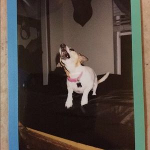 Meet your Posher, Arriah