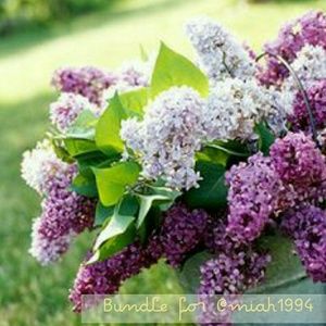 Bundle for @miah1994