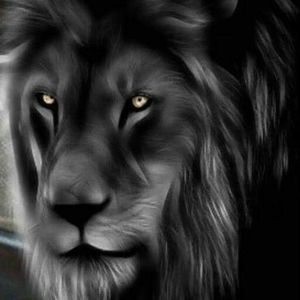 Meet your Posher, Edward