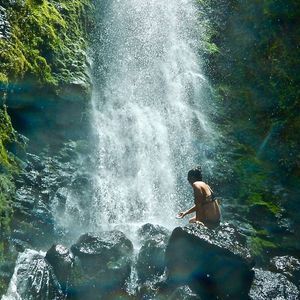 Meet your Posher, Cherie