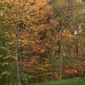 Meet your Posher, Amar