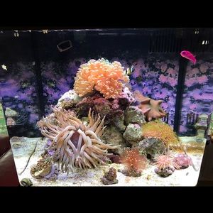 Meet your Posher, Mirek