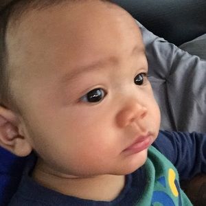 Meet your Posher, Bee